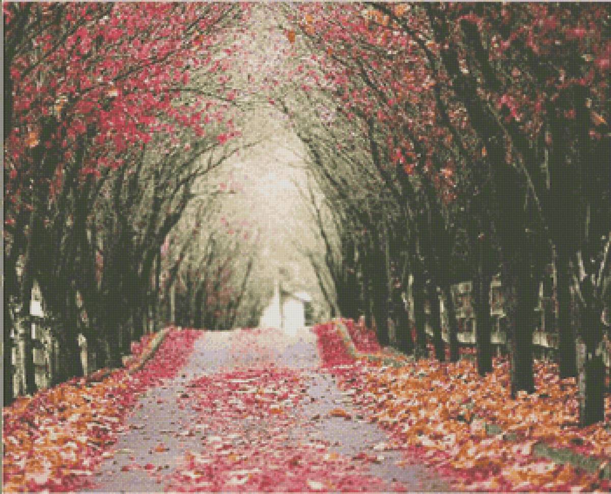 running trail - nature, fall, leaves, tree - предпросмотр