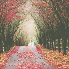 Схема вышивки «running trail»