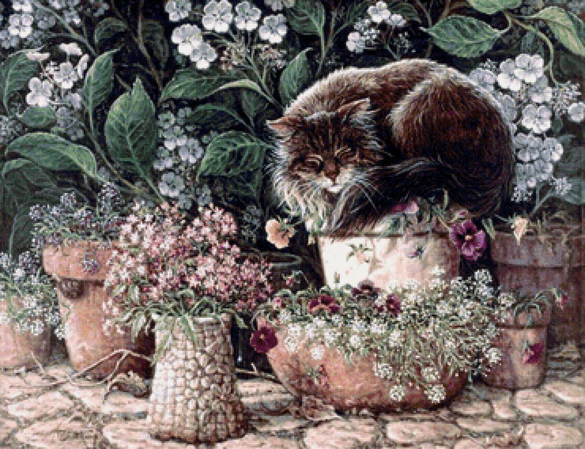 кот - животные, кот, портрет - предпросмотр