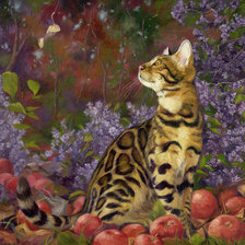 Схема вышивки «кот»