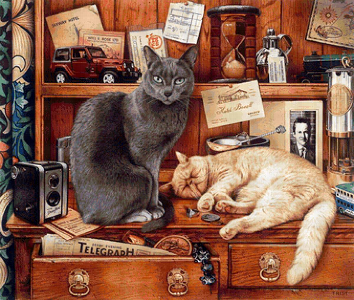 кот - кот, портрет, животные - предпросмотр