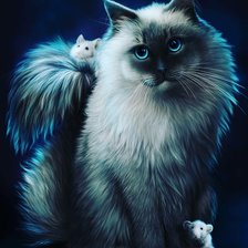 Схема вышивки «кот»