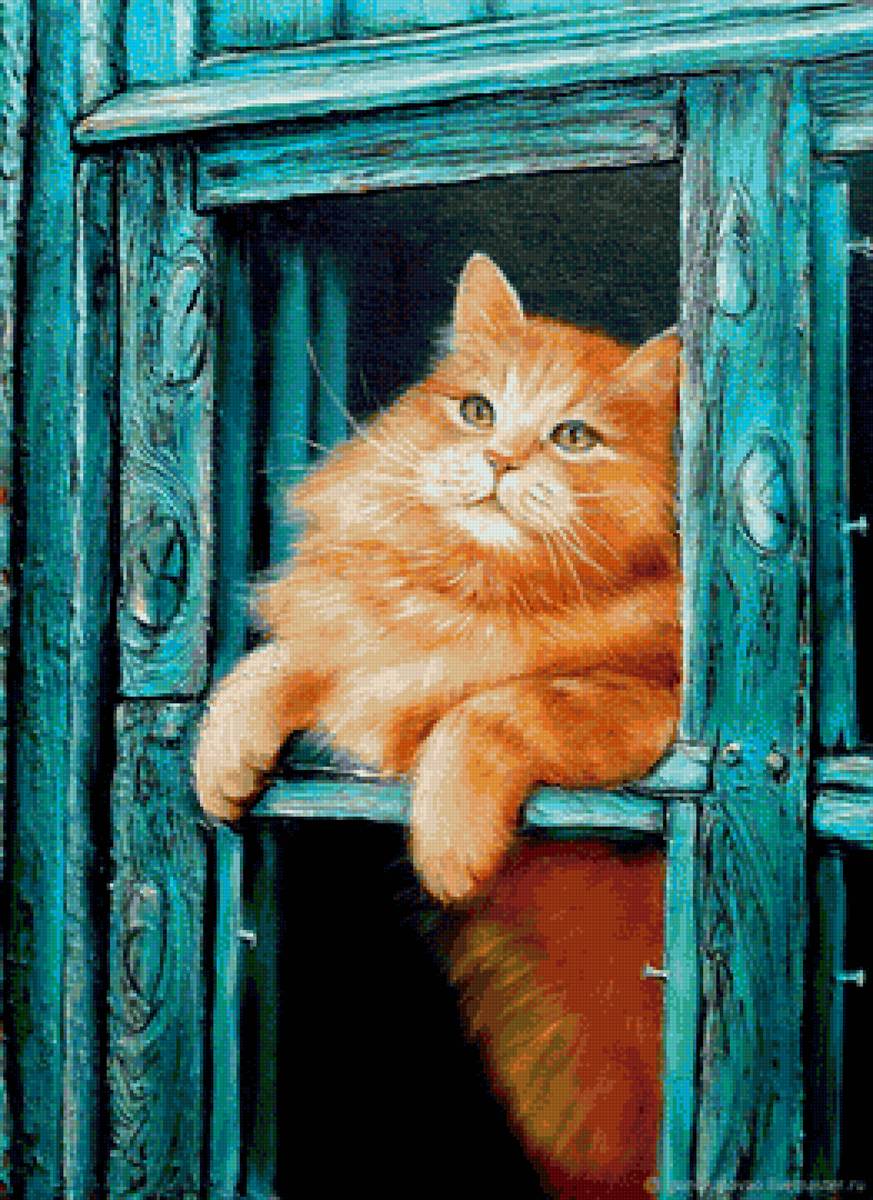 кот - кот, животные, портрет - предпросмотр