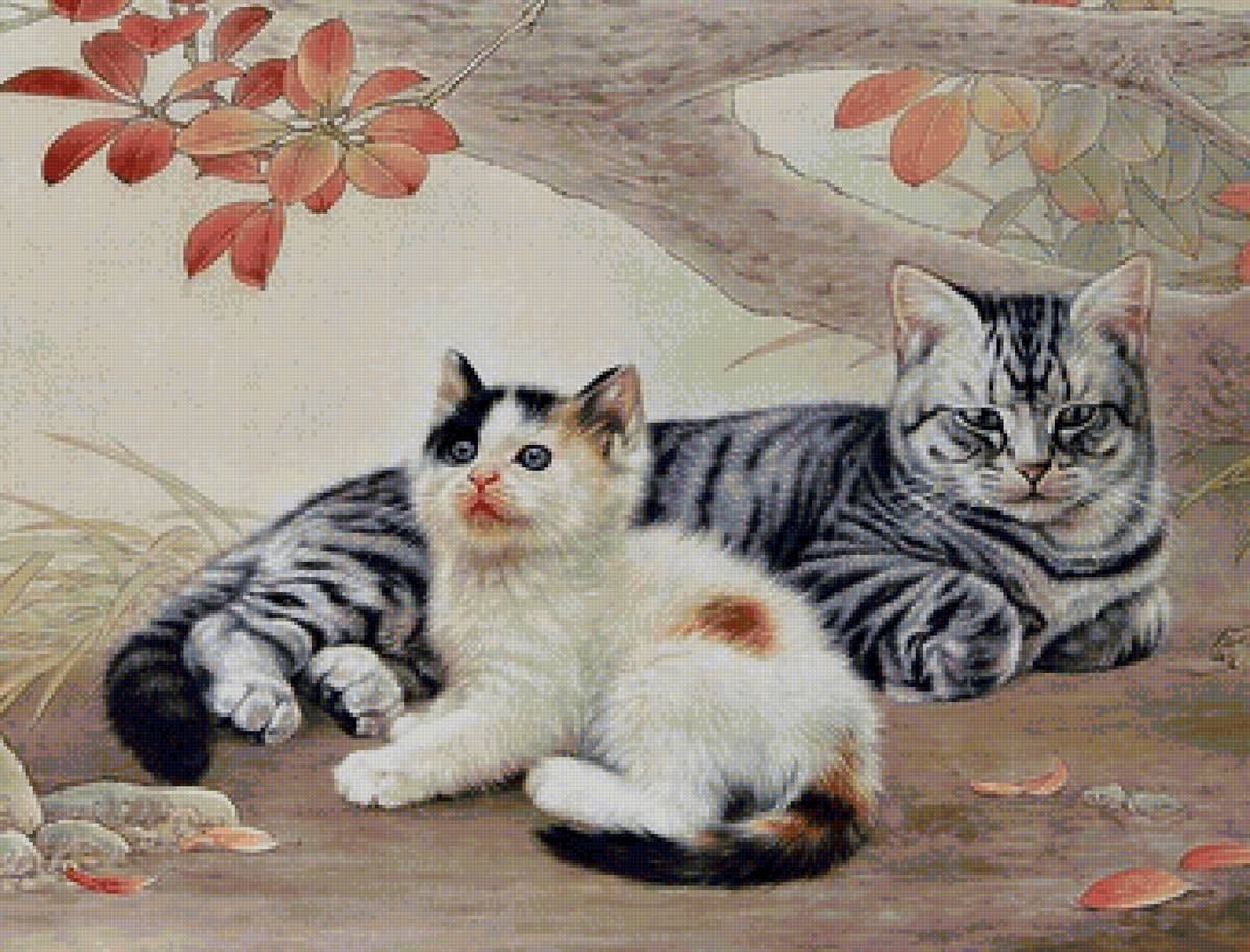 кот - портрет, кот, животные - предпросмотр