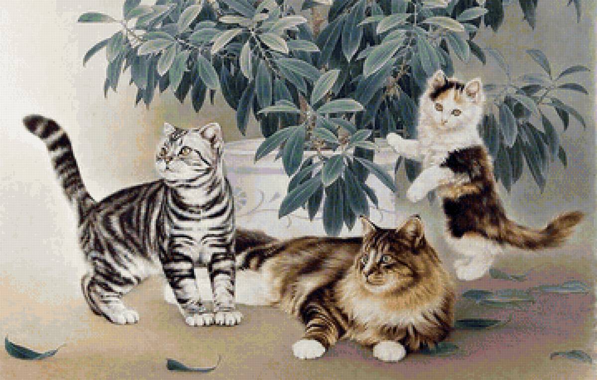 кот - животные, портрет, кот - предпросмотр