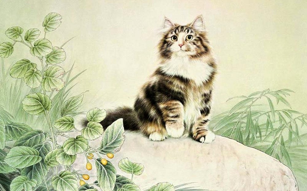 кот - портрет, животные, кот - оригинал