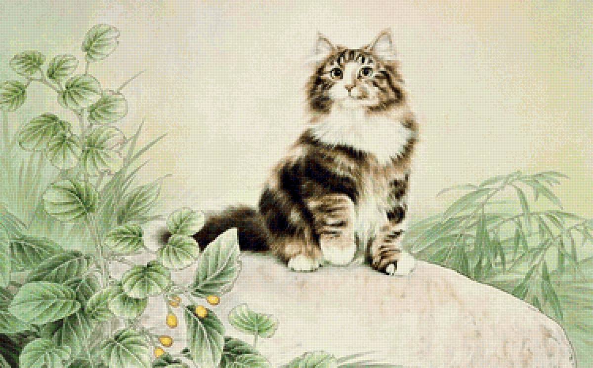 кот - портрет, животные, кот - предпросмотр