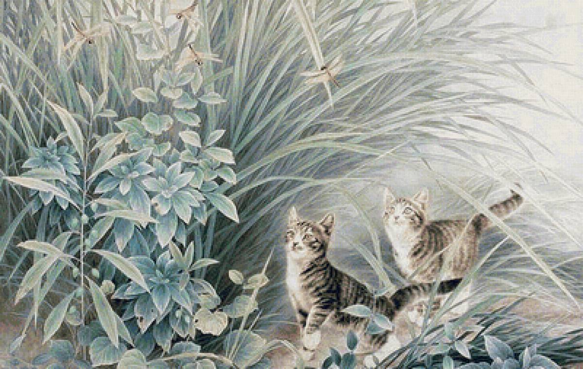 кот - кот, животные, портрет - предпросмотр