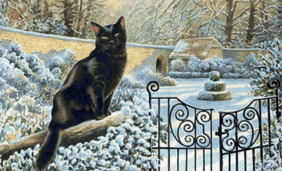 кот - кот, животные, портрет - предпросмотр