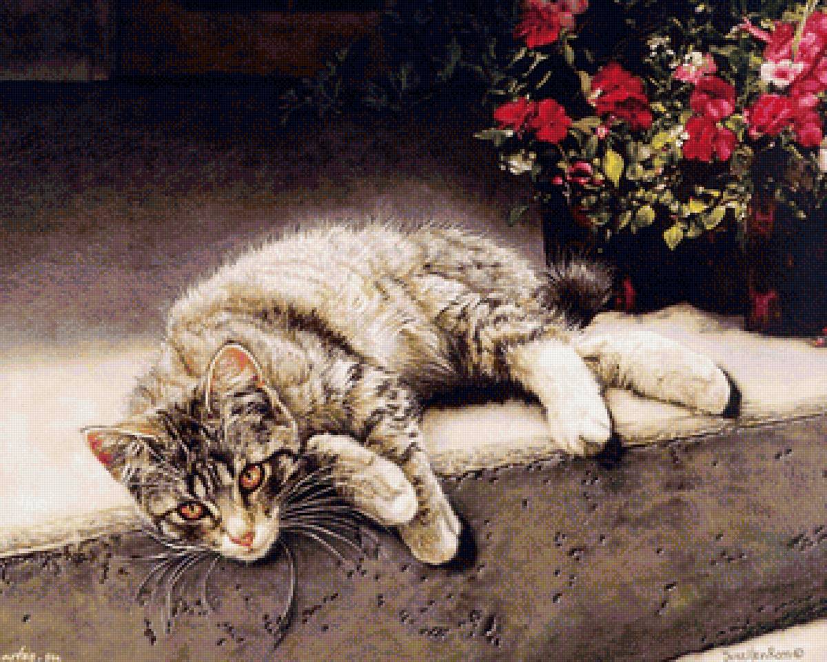 кот - животные, портрет, кот - предпросмотр