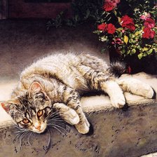 Схема вышивки «кот»