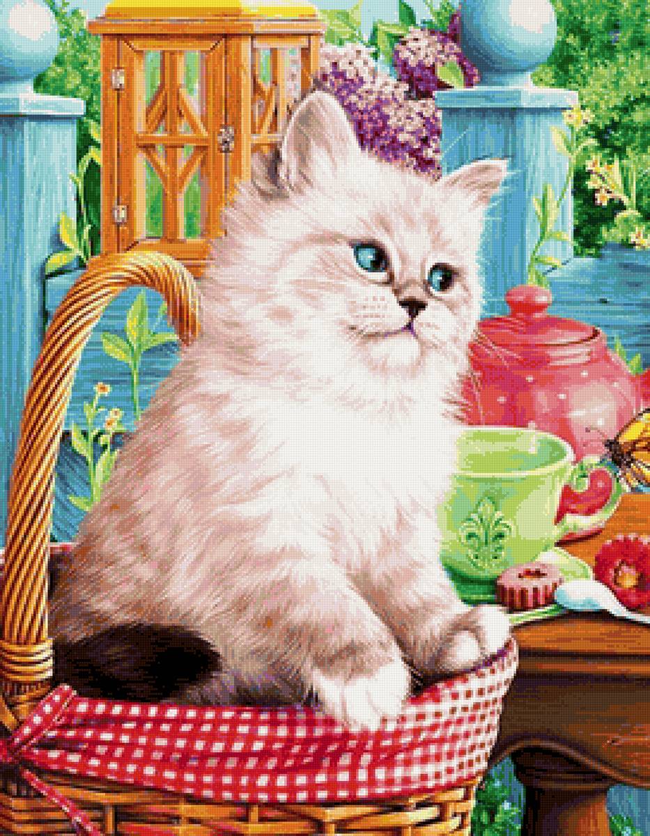 кот - портрет, кот, животные - предпросмотр