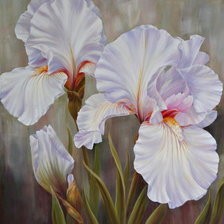 Схема вышивки «белые ирисы»