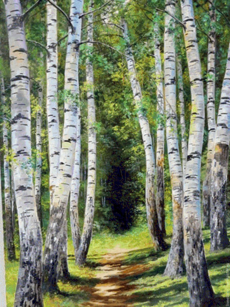 природа - березы, природа, лес - предпросмотр