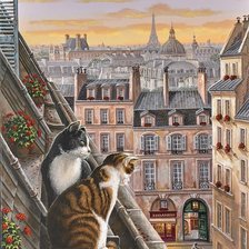 коты на крыше