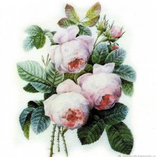 Схема вышивки «розы»