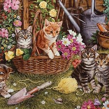 Схема вышивки «кот»