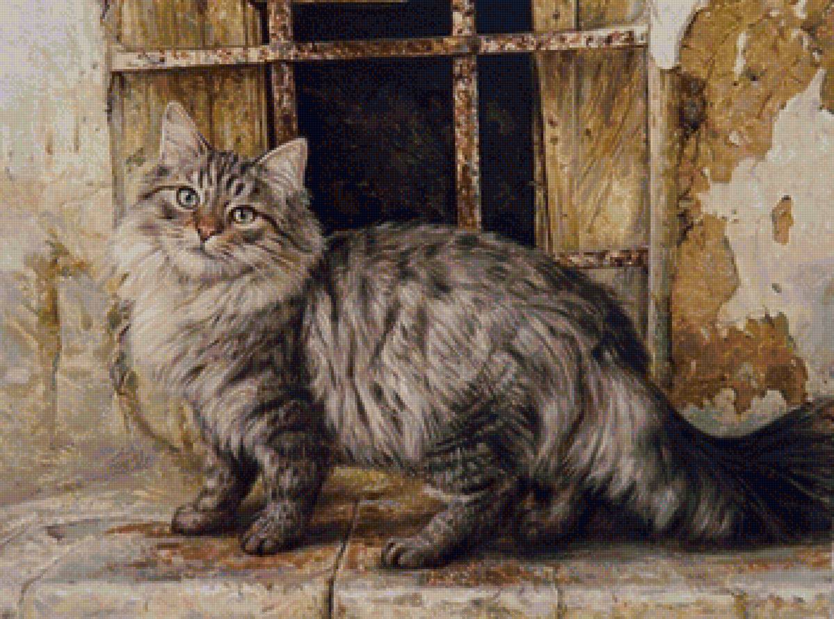 кот - кот, животные, портрет - предпросмотр