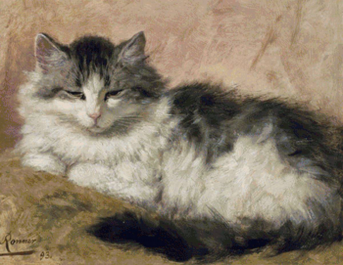 кот - портрет, животные, кот - предпросмотр