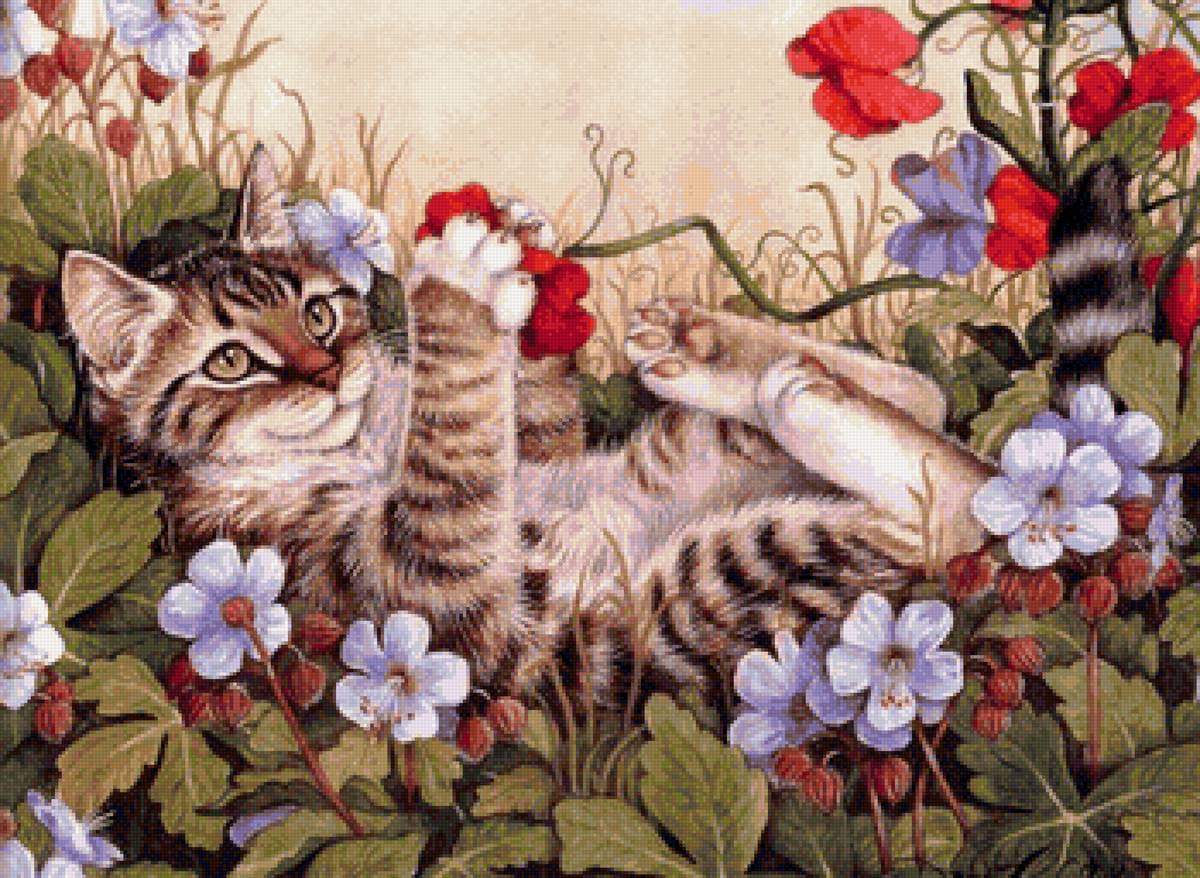 кот - портрет, животные, кот - предпросмотр