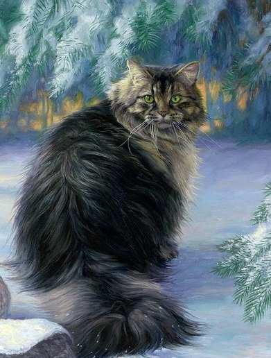 кот - портрет, животные, кот - оригинал