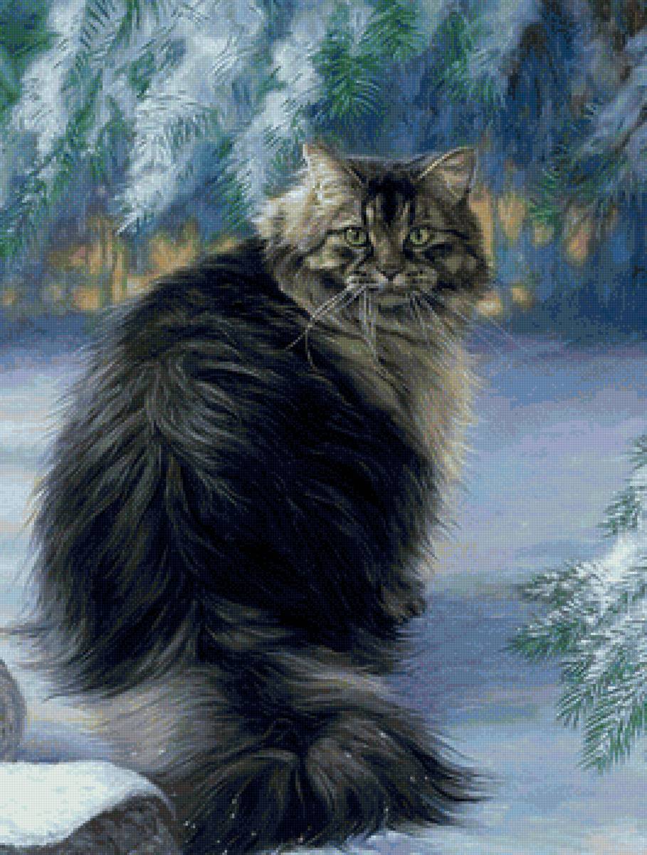 кот - портрет, кот, животные - предпросмотр