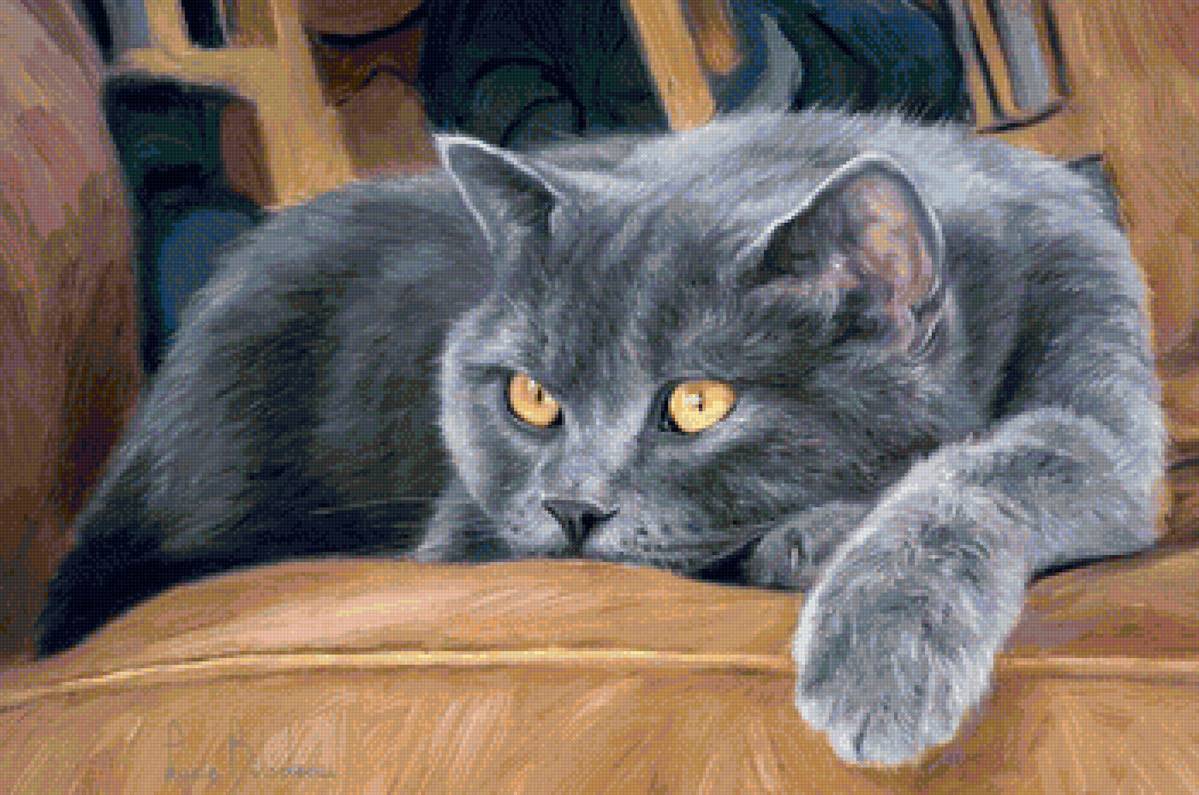 кот - кот, портрет, животные - предпросмотр