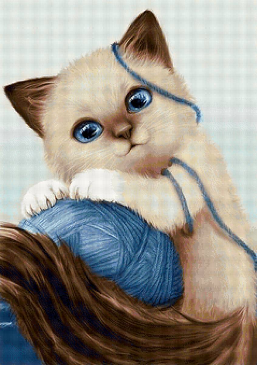 кот - животные, кот, портрет - предпросмотр