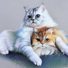 Схема вышивки «кот»