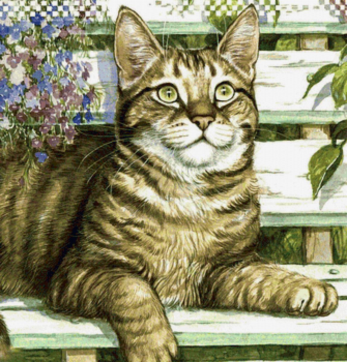 кот - кот, животные, портрет - предпросмотр