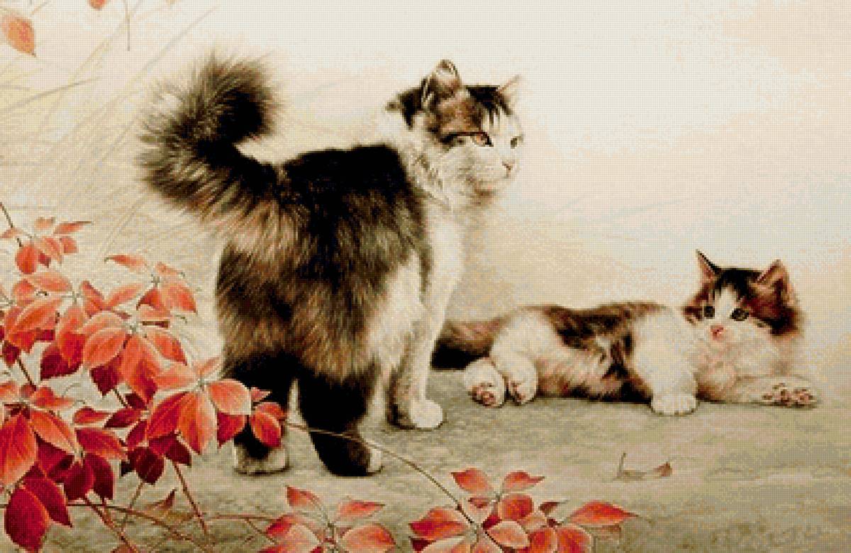 кот - портрет, кот, животные - предпросмотр