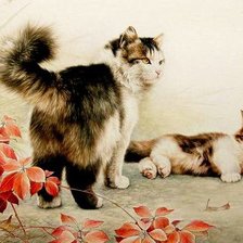 Схема вышивки «кот»