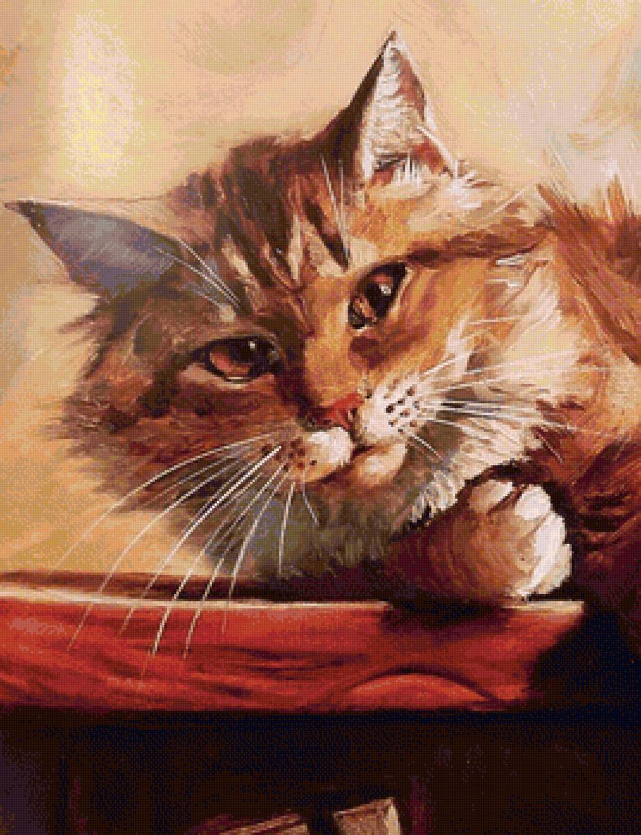 кот - животные, портрет, кот - предпросмотр