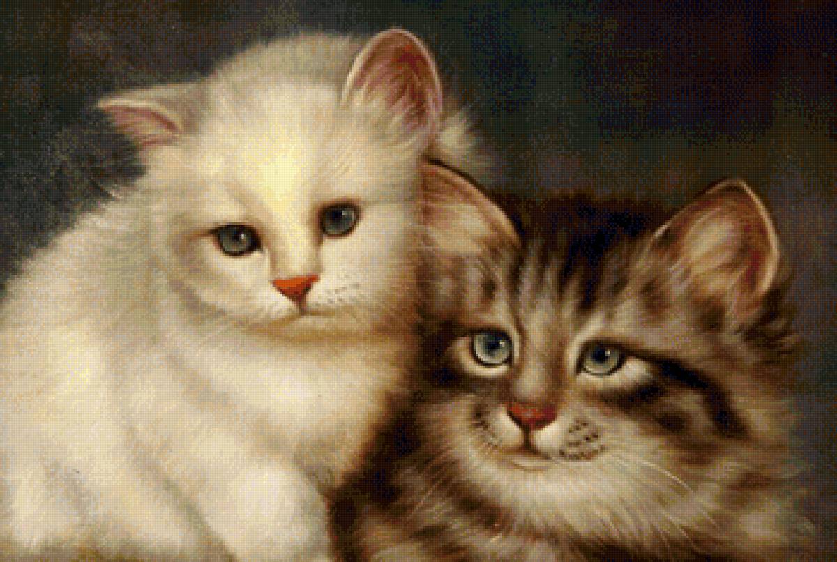 кот - животные, портрет, кот - предпросмотр