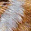 Предпросмотр схемы вышивки «кот» (№2302534)