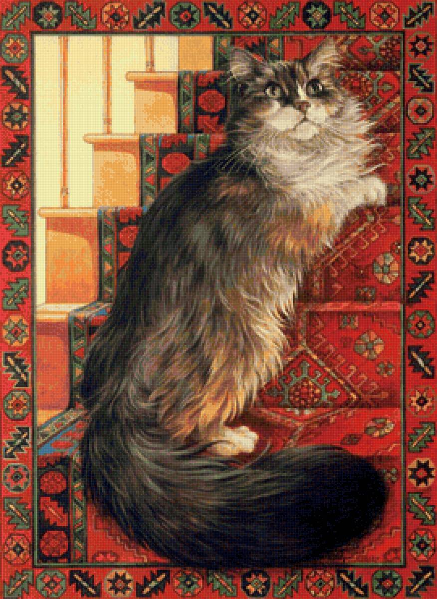 кот - кот, портрет, животные - предпросмотр