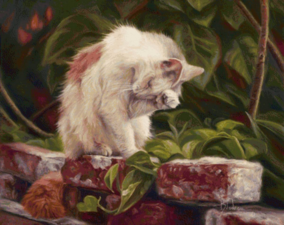 кот - портрет, кот, животные - предпросмотр