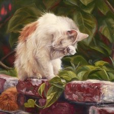 Схема вышивки «кот»