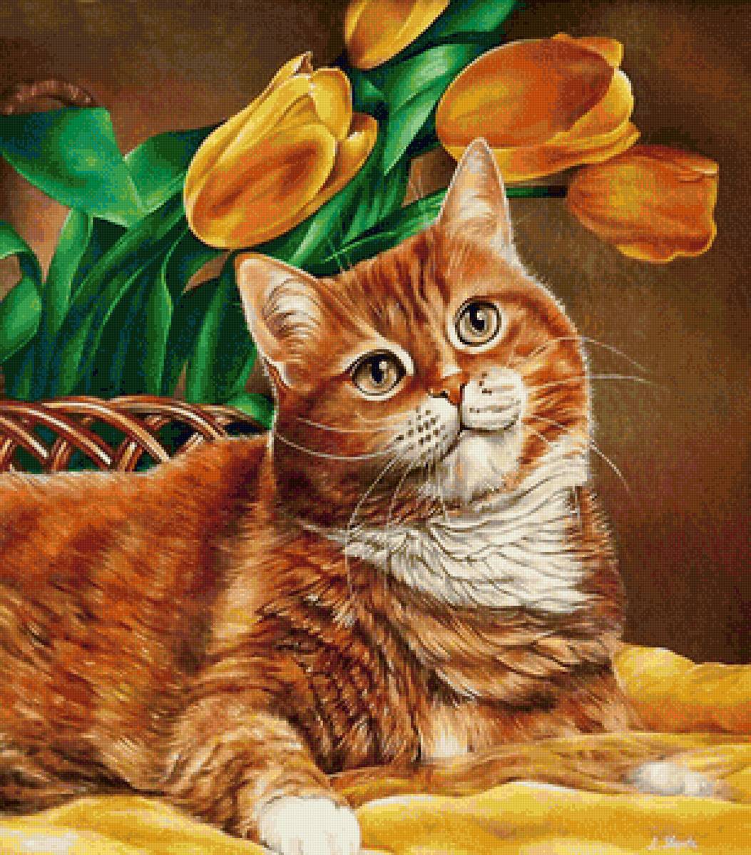 кот - кот, животные, портрет - предпросмотр