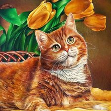 Схема вышивки «кот»