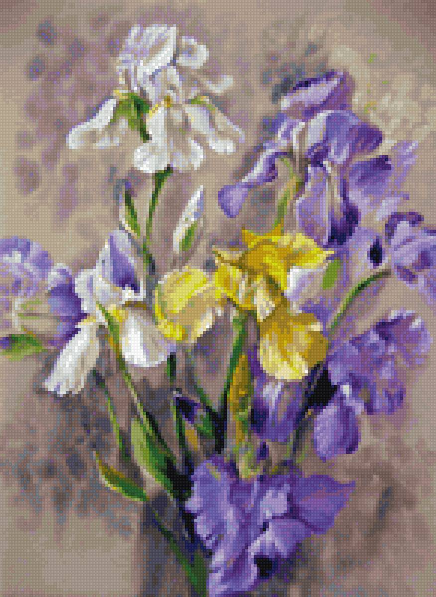 Лето началось. Ирисы - цветы. ирисы - предпросмотр