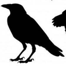 Схема вышивки «Дневники Вампира»