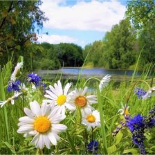 Схема вышивки «букет»