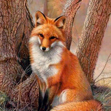 Схема вышивки «лиса»