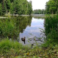 Схема вышивки «Тихий уголок»
