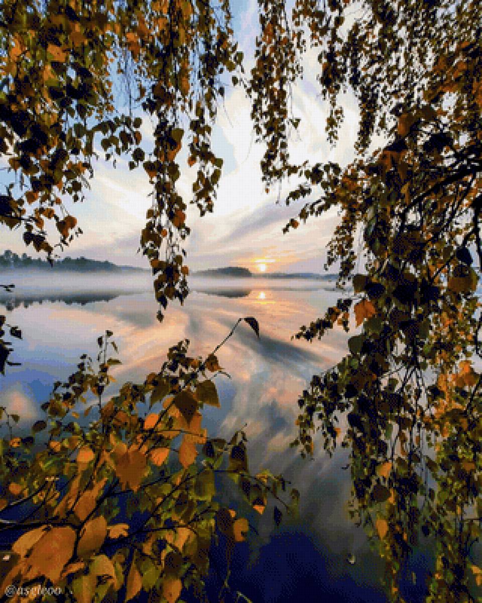 осеннее утро - утро, туман, природа, осень, рассвет, деревья, река - предпросмотр