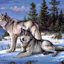 Схема вышивки «Пара волков»