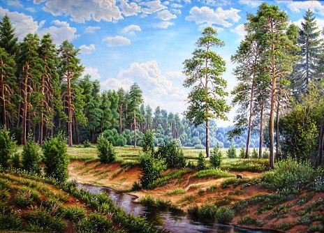 Речка в сосновом бору - речка, природа, сосны, пейзаж, бор - оригинал