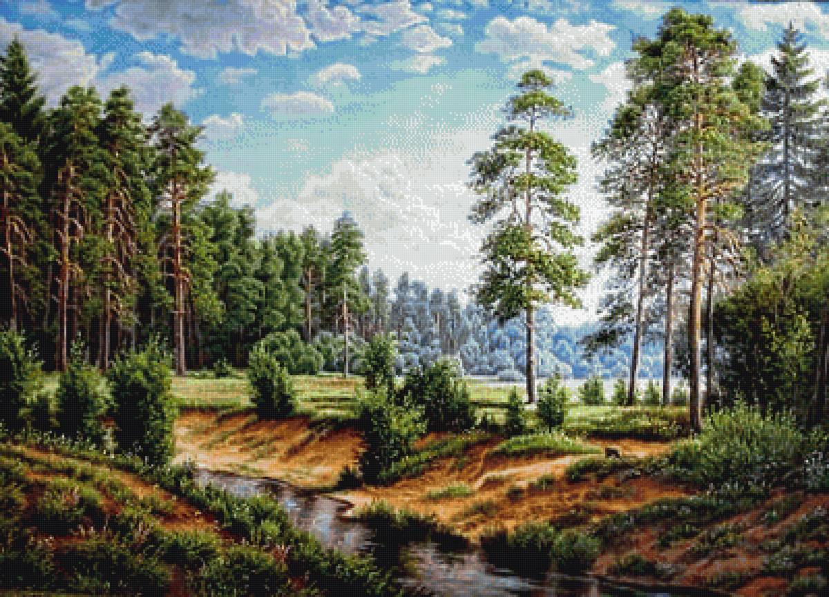 Речка в сосновом бору - сосны, речка, пейзаж, бор, природа - предпросмотр