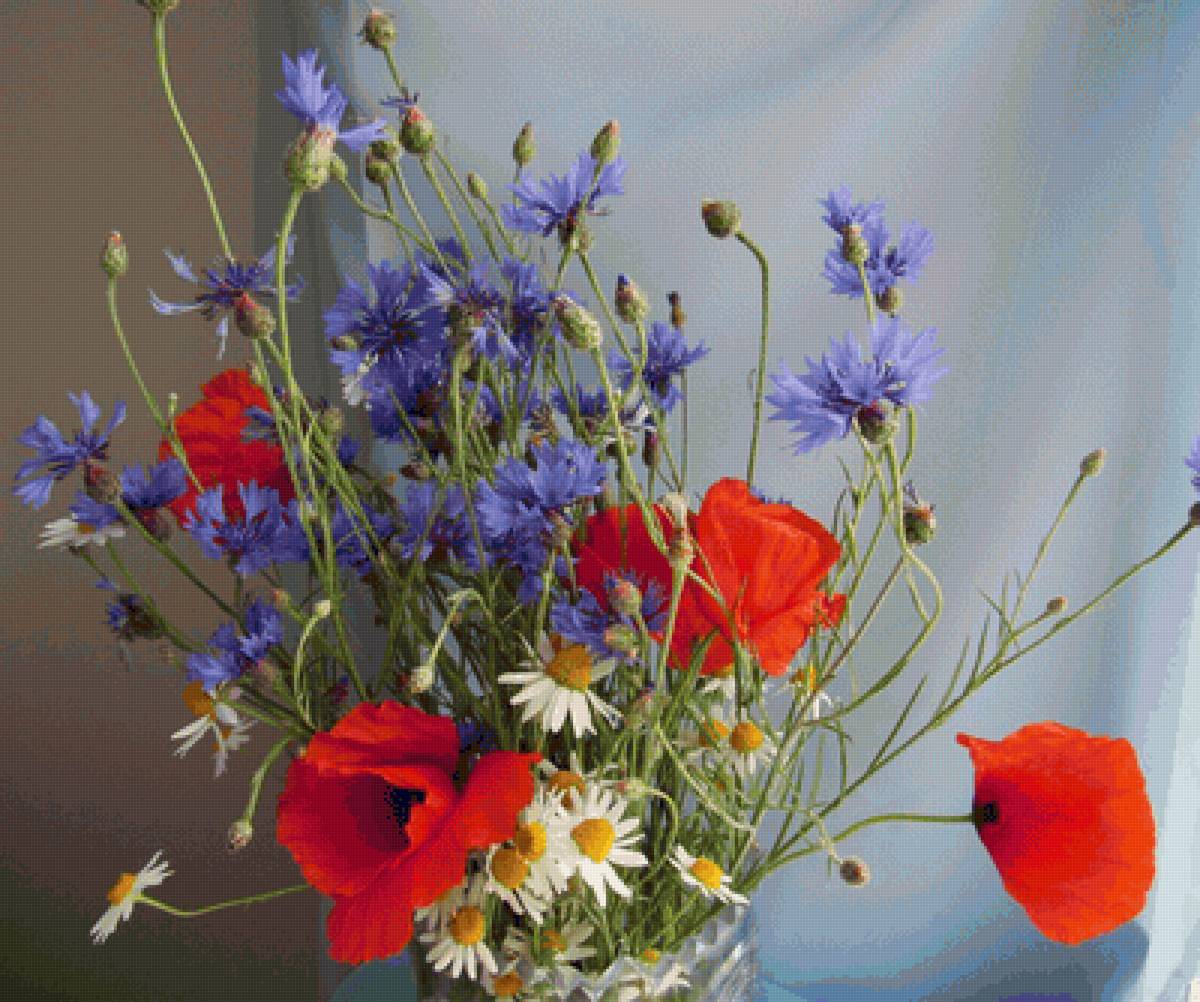Букет полевых цветов - букет, цветы, маки, васильки, ромашки - предпросмотр